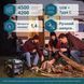 Генератор інверторний K&ouml;nner&S&ouml;hnen KS 4500i (4.5 кВт) - KS4500i KS4500i фото 2