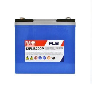 Аккумулятор AGM FIAMM 12FLB200P 12В 57Ач - 938075 938075 фото